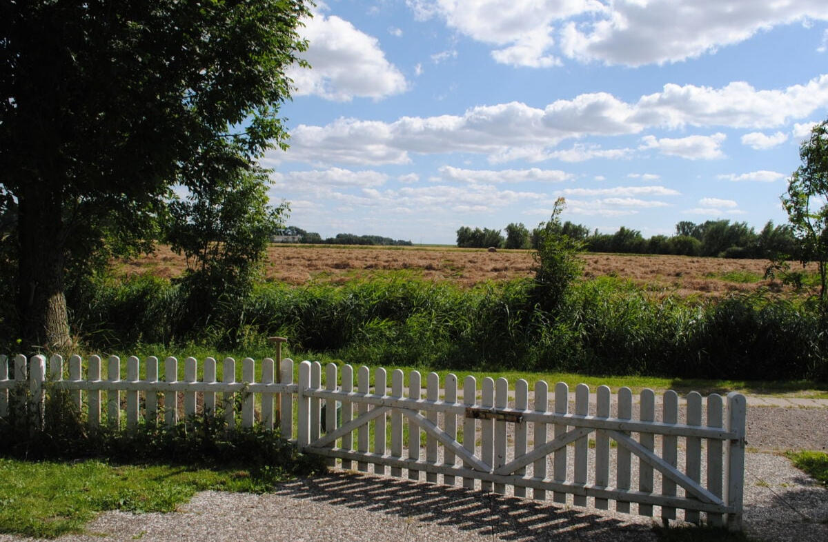 Landhaus Andresen - Blick Grundstück Süd